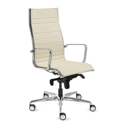 Acer-plus-alto-piel